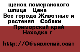 щенок померанского шпица › Цена ­ 45 000 - Все города Животные и растения » Собаки   . Приморский край,Находка г.